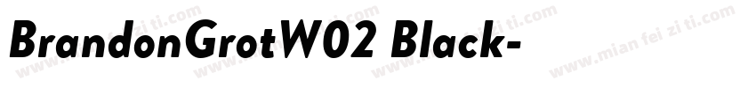 BrandonGrotW02 Black字体转换